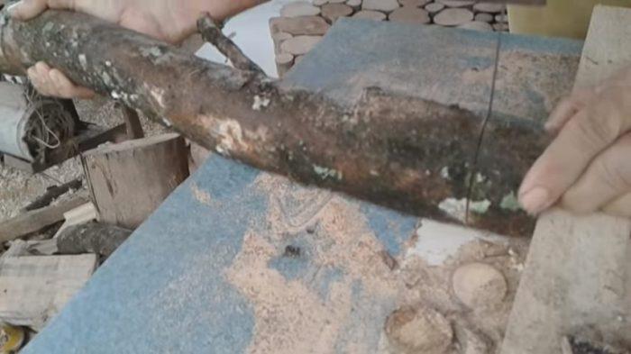 Ветки распиливаются на одинаковые срезы
