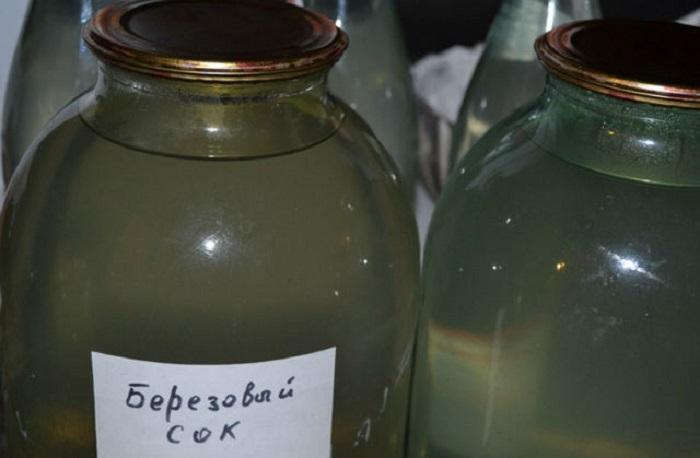 Можно самостоятельно законсервировать березовый сок