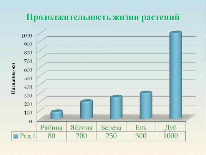 Продолжительность жизни некоторых растений