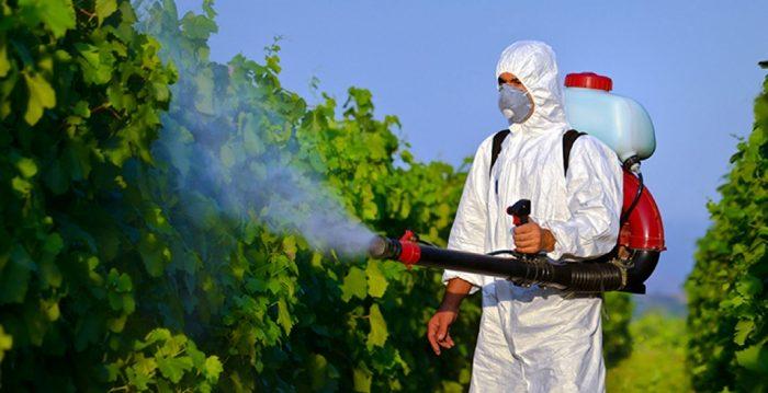 Важно соблюдать инструкцию по применению различных средств