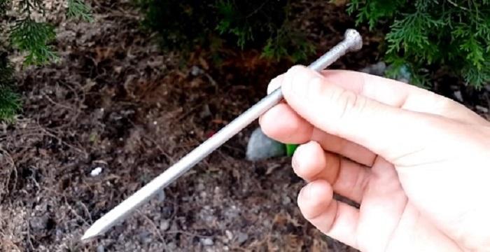 Большой гвоздь